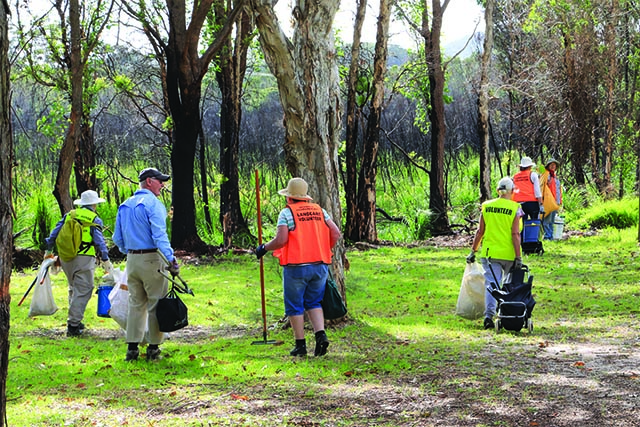 Image of volunteers at Mambo wetlands