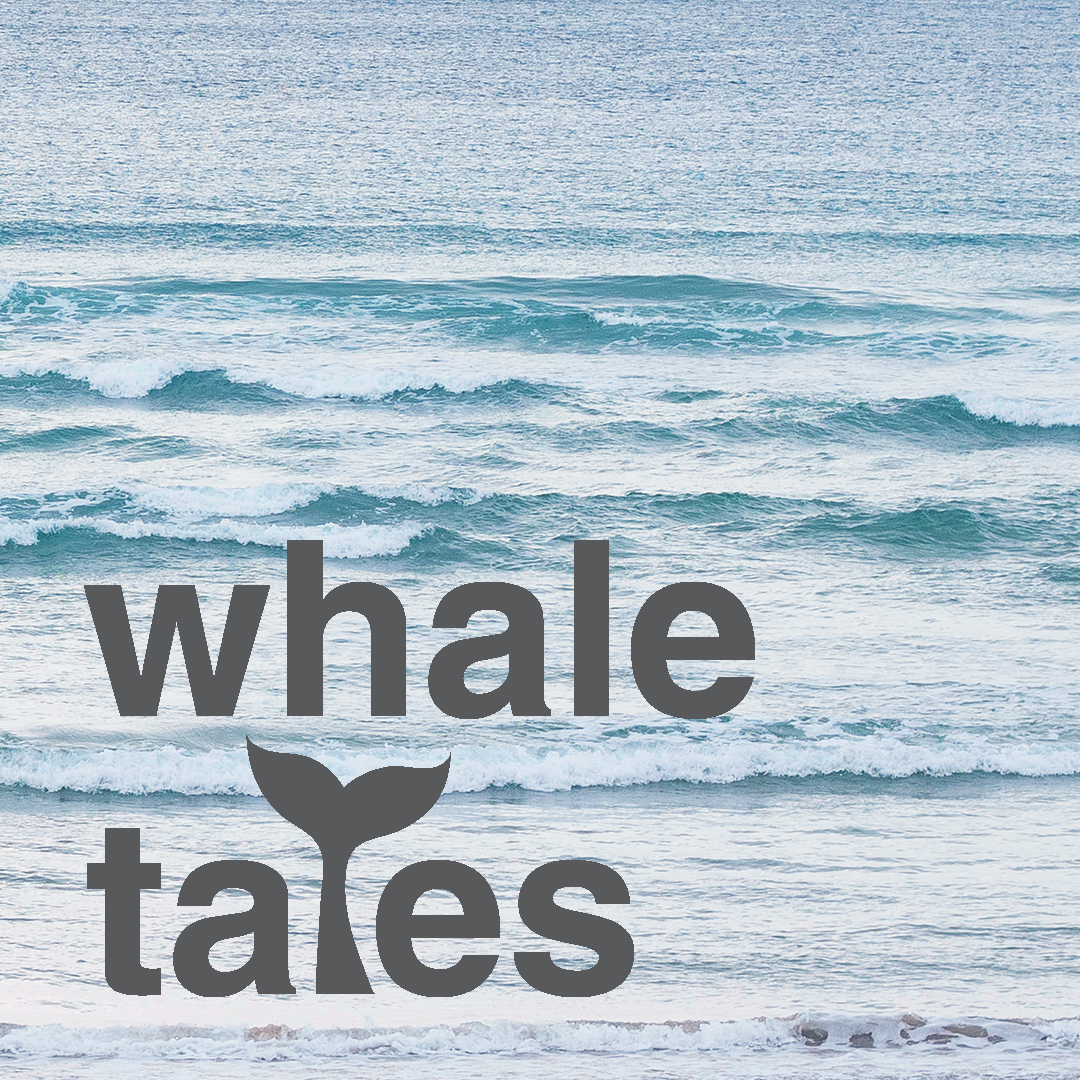 Whale Tales
