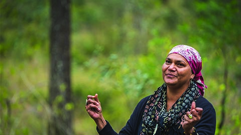 Image of story teller