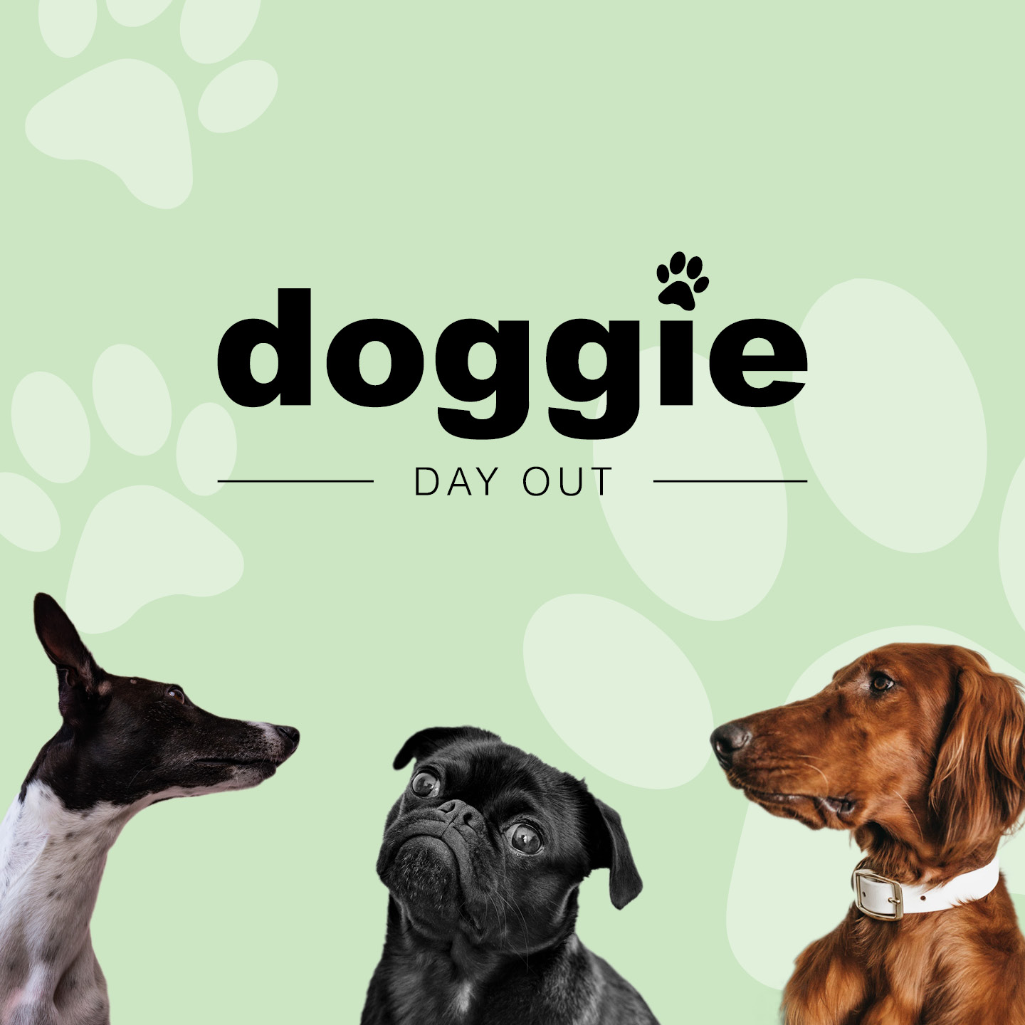 Doggie Day Out