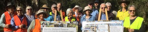1,200 trees in 2 years for Mambo Wetlands