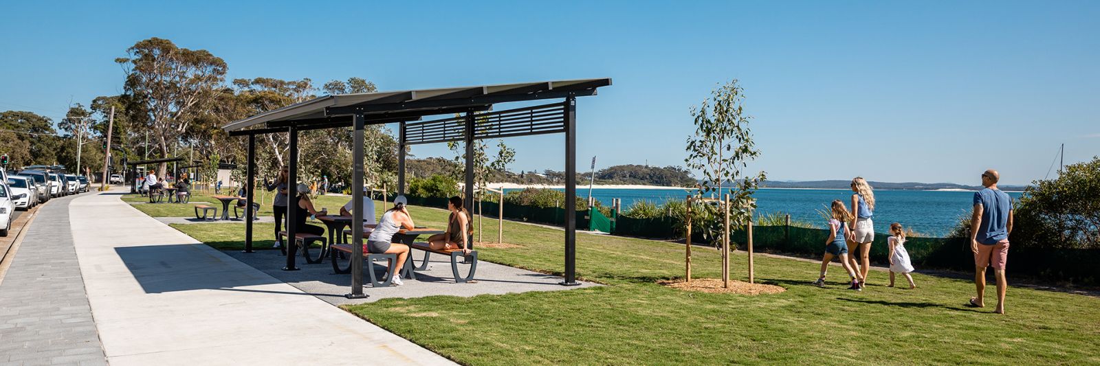 Tree vandalism at Shoal Bay banner image