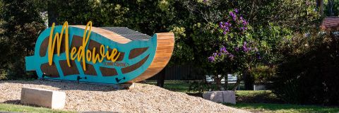 Medowie on the move with new draft place plan