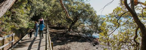 Community called to workshop Coastline management options with Council