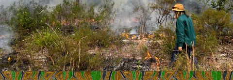 A cool change for biodiversity