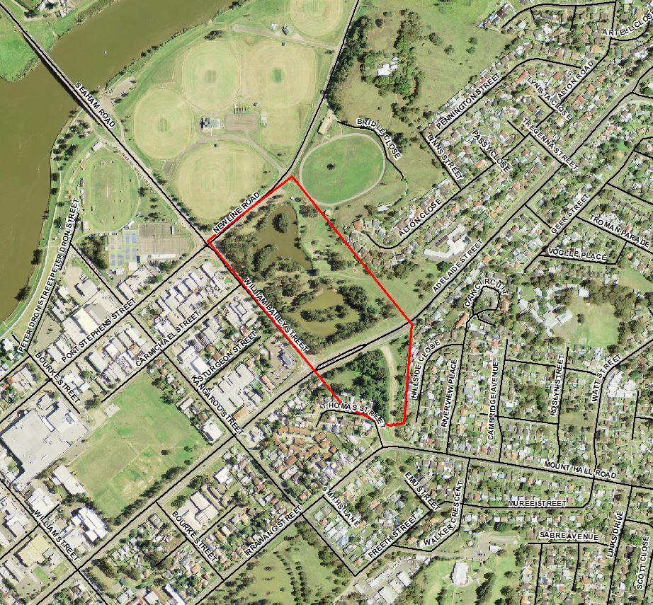 Aerial photograph of where the Flying Fox camps are in Raymond terrace