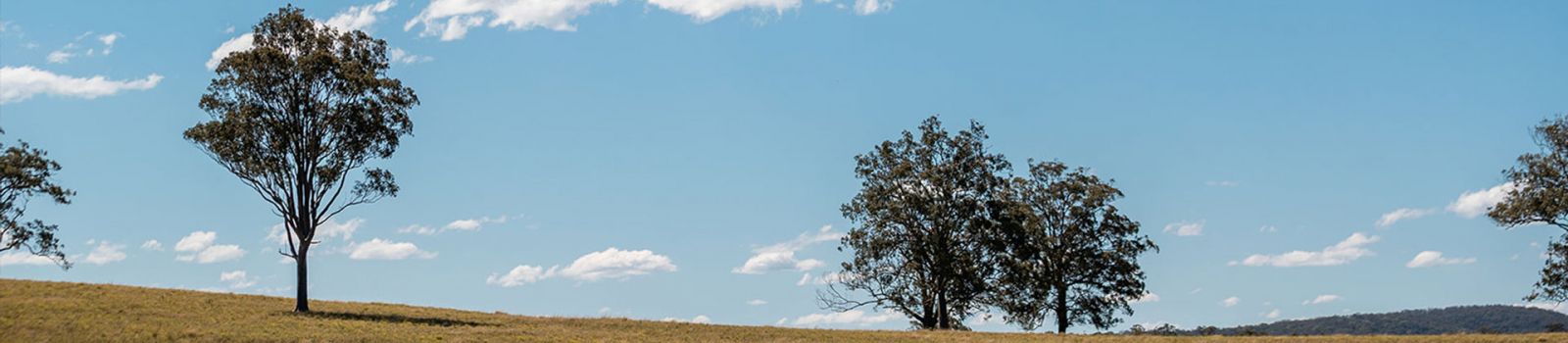 Image of rolling green hills with trees and a blue sky banner image