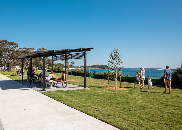 Shoal Bay tree vandalism