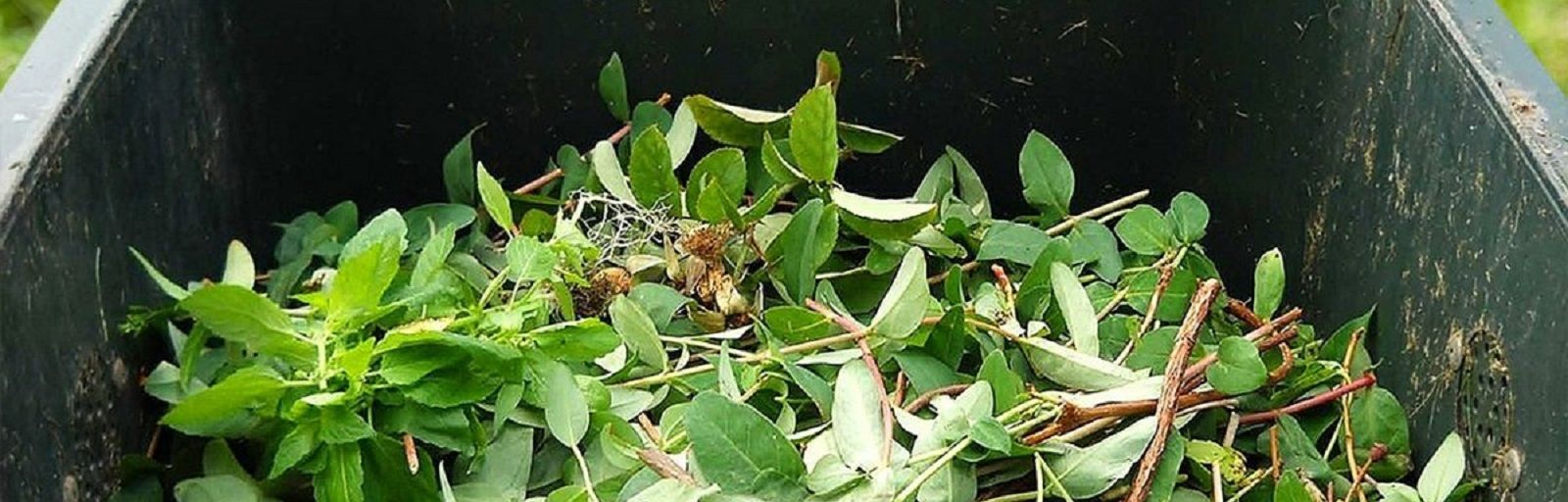 Green Waste banner image