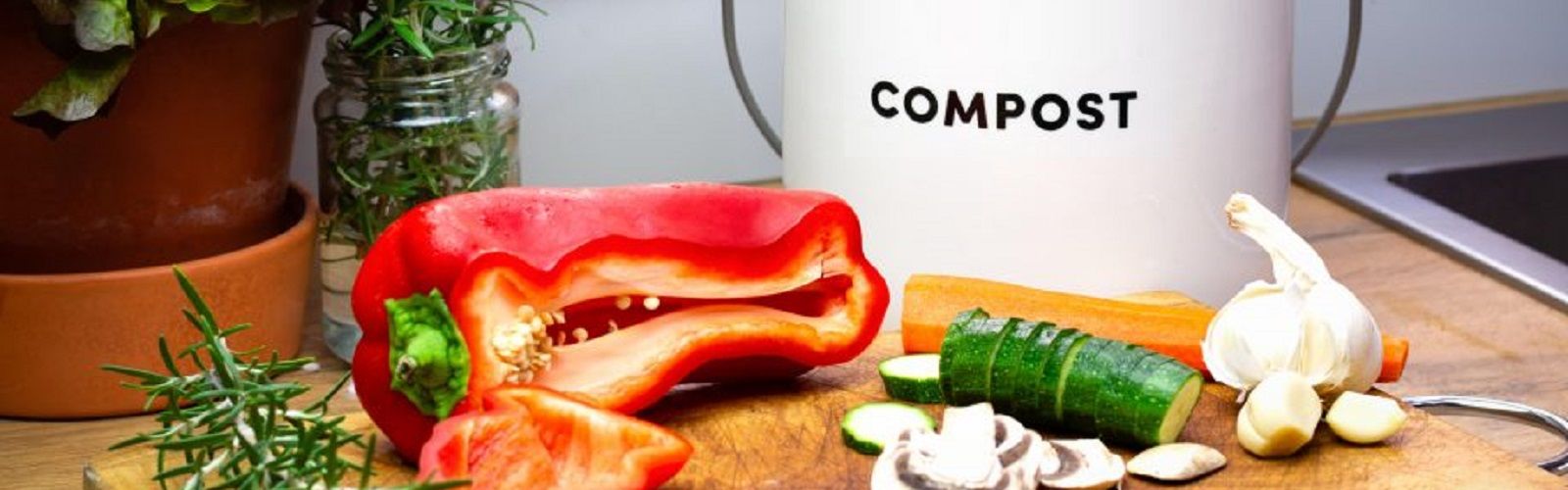 Worm and compost banner banner image