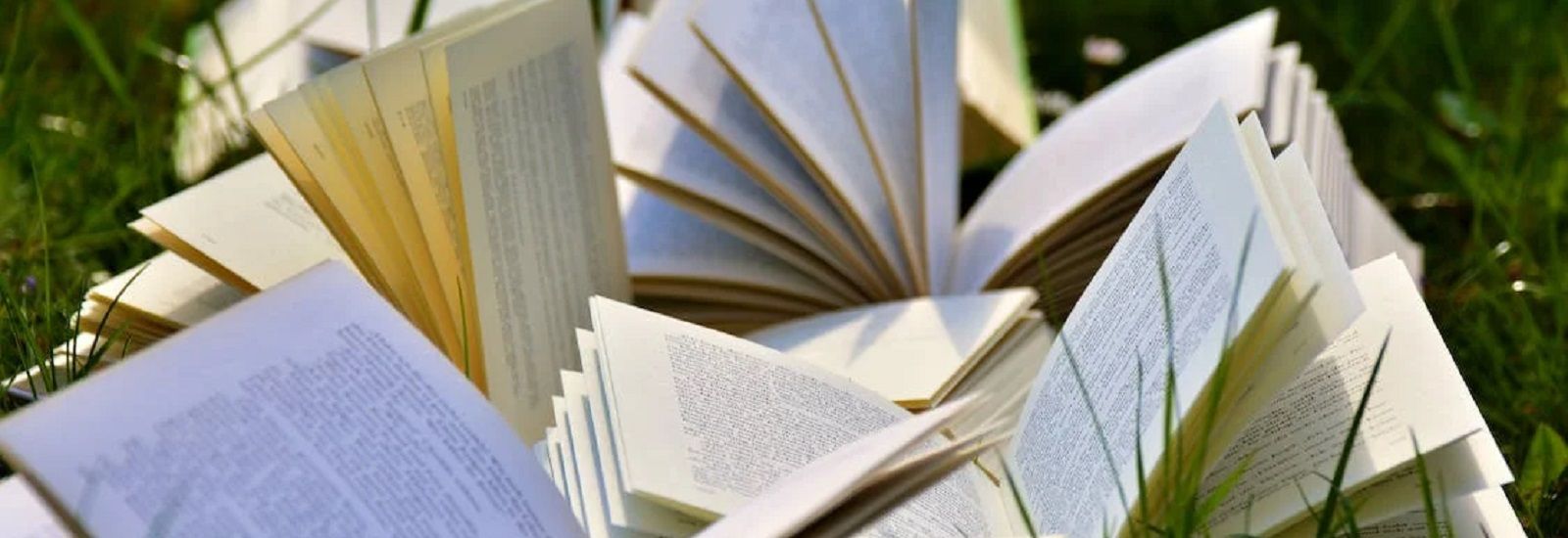 Pile of books banner image