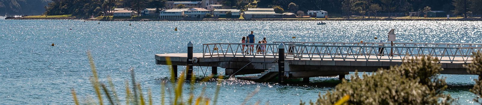 Image of a jetty overlooking a lake  banner image