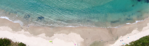 Grant secured to shift the sands toward long-term coastal protection