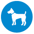 Dog off leash icon