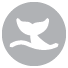 whale icon