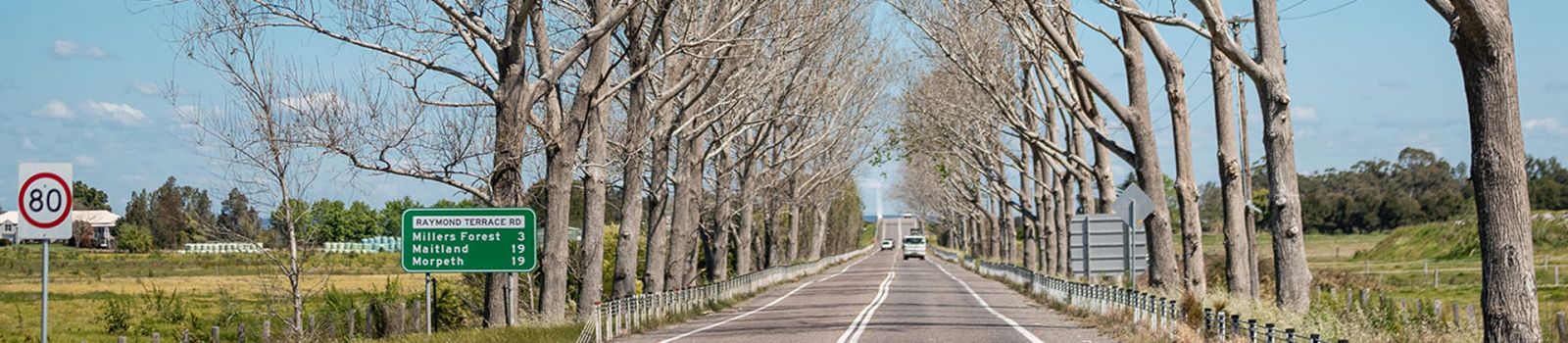 Image of a road surrounding by autumnal trees  banner image