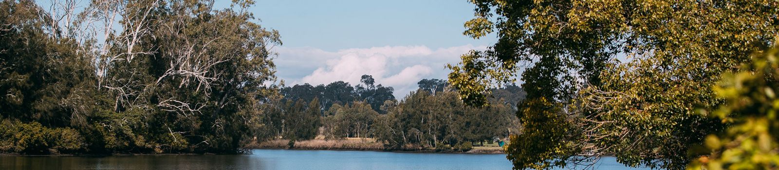 Image looking down a river with trees across either side.  banner image