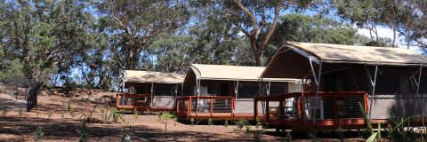 Port Stephens Koala Sanctuary wins Silver Award