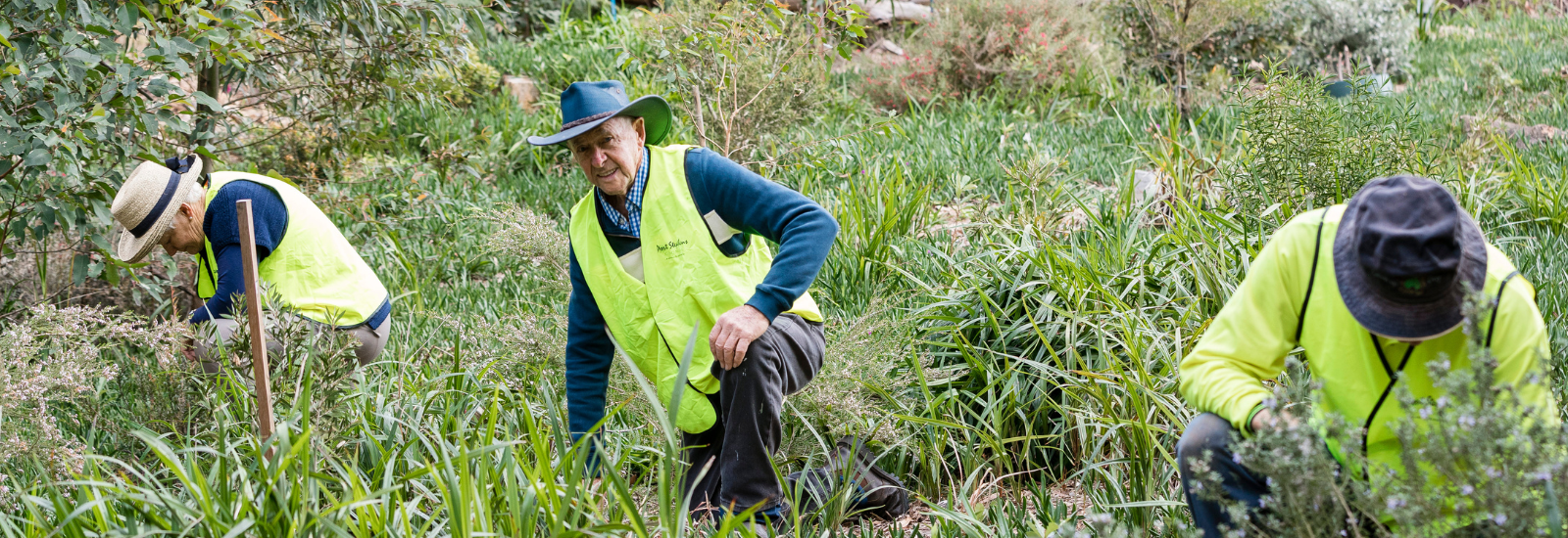 Environmental Volunteers banner image