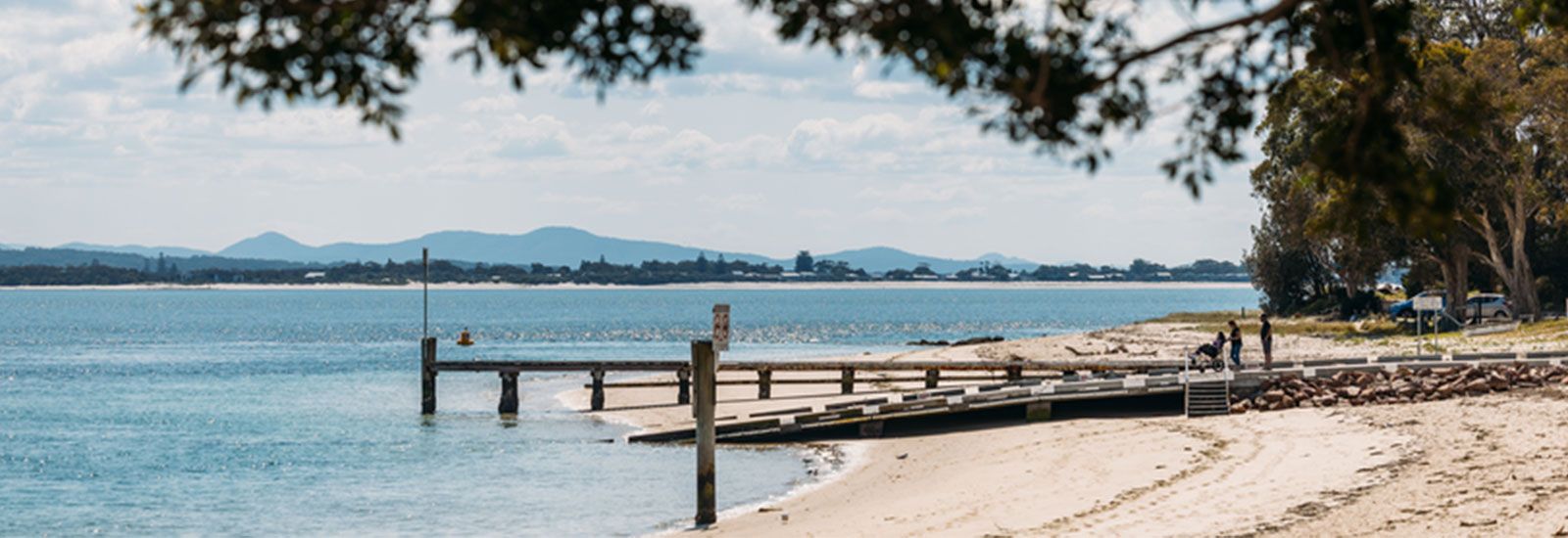 beach with jetty banner image
