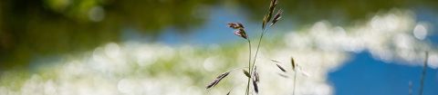 Port Stephens and Myall Lakes Estuary Management Plan