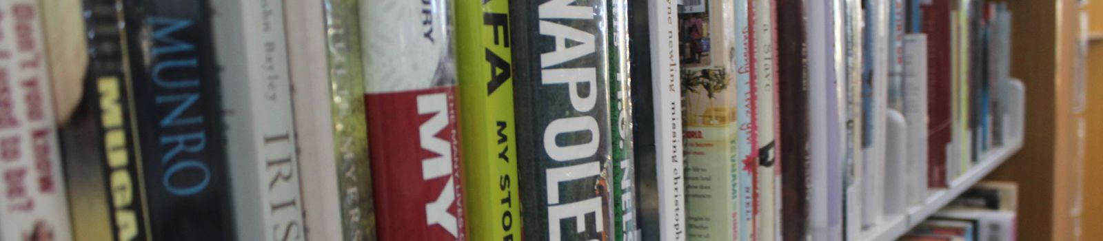 Line up of books on a shelf  banner image