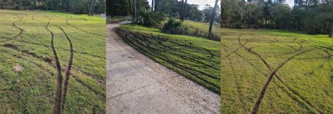 Boomerang Park dog off-leash area closed due to motorbike damage