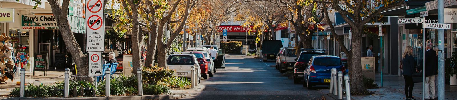Images of cars parked on a busy street in Port Stephens  banner image