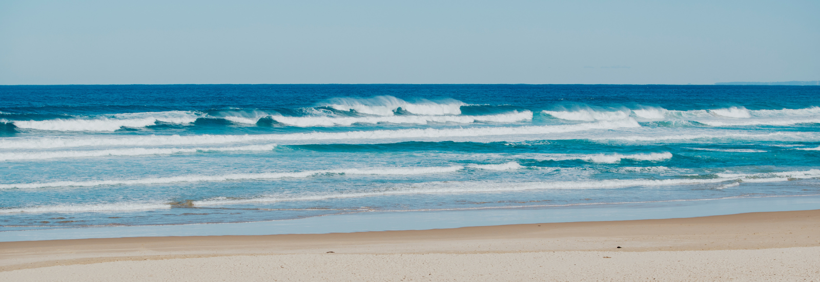 Image of Birubi Beach banner image