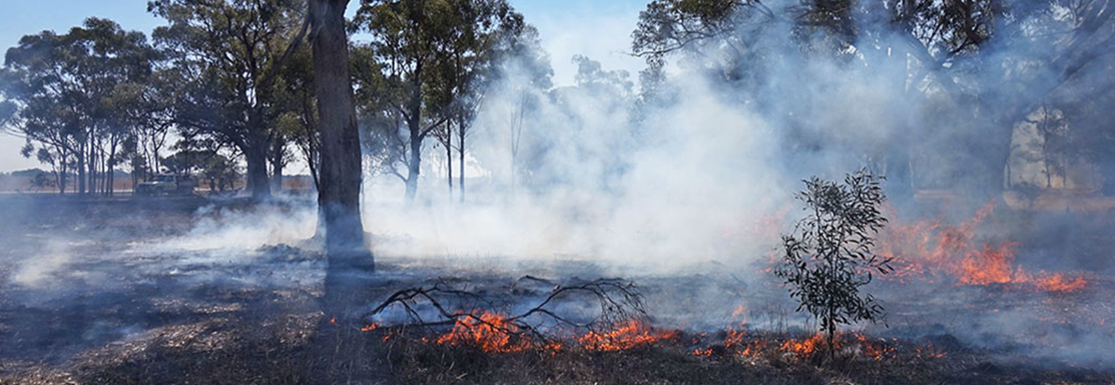 Culturally Informed Cool Burn banner image banner image