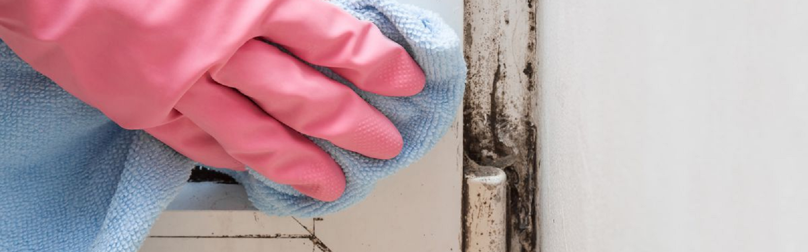 Mould banner image