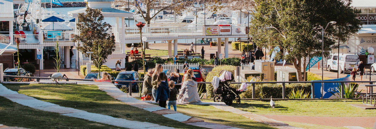 Visitors at Nelson Bay Centre banner image