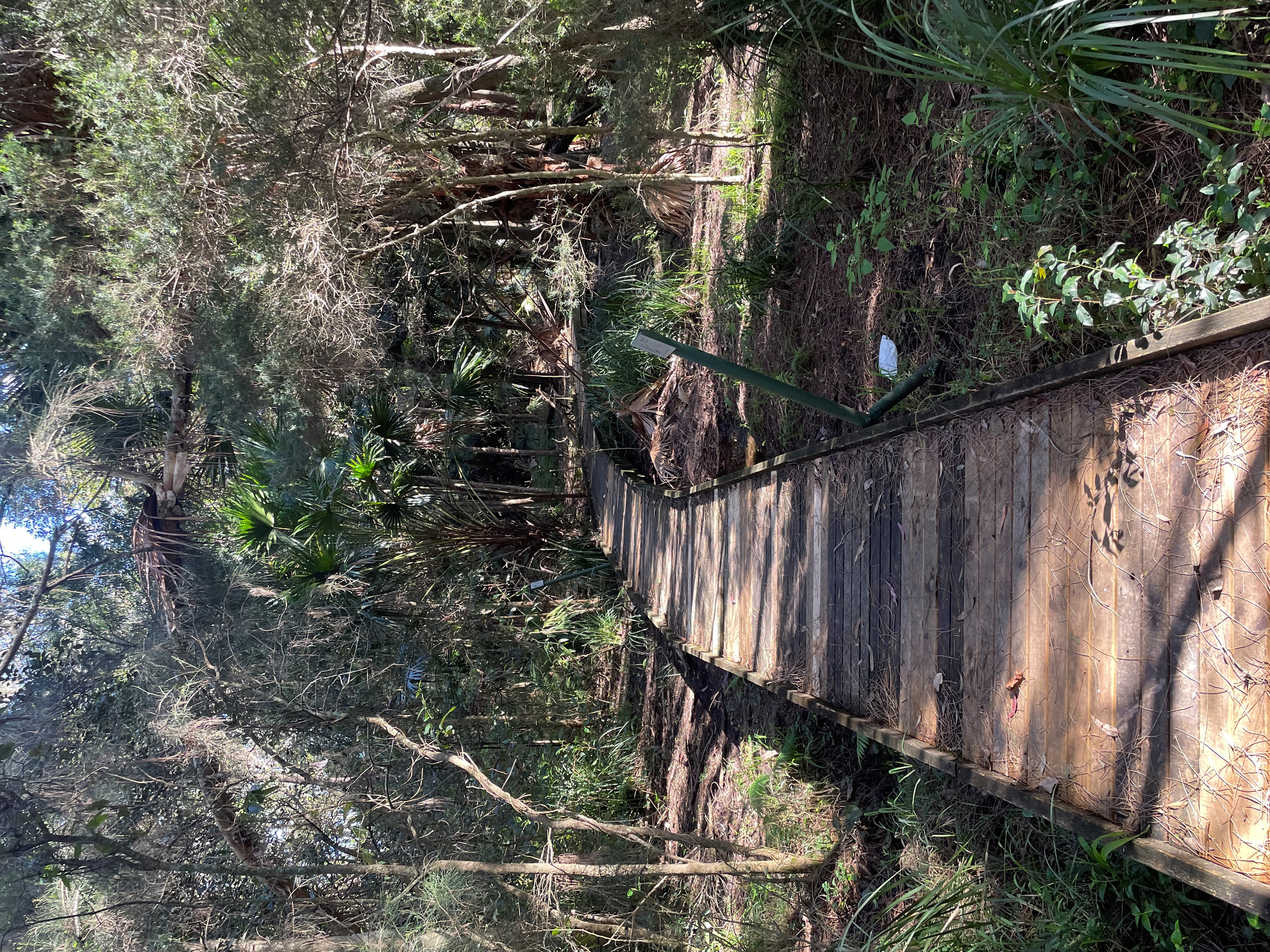 Karuah Boardwalk