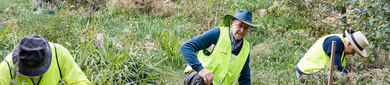 Photograph of a man with a hat and high vis clothing on leaning in the bush  banner image