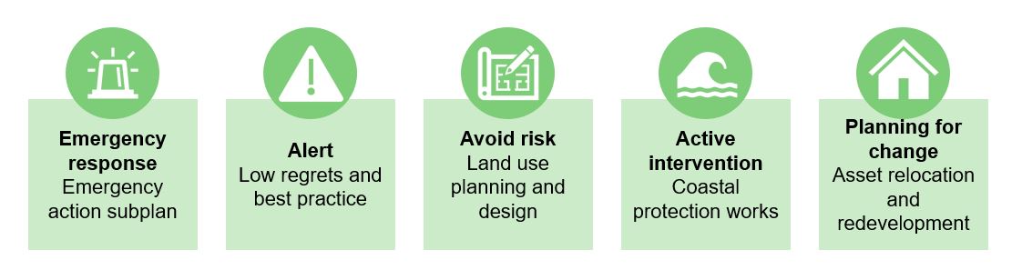 Infographic of CMP Management Options