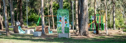 Medowie Place Plan endorsed to start making moves