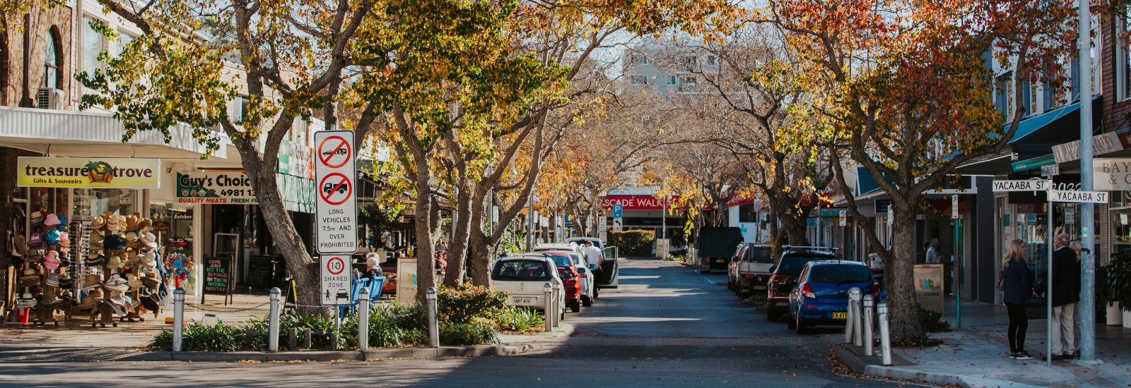 Cars parked on the street in Nelson Bay banner image