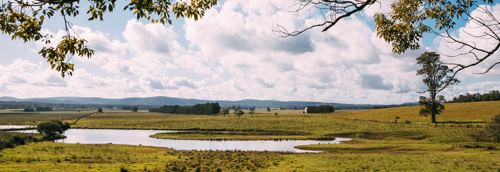 Hinterland nature  banner image