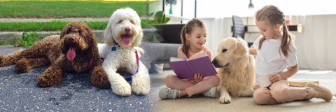 BaRK Kids Reading Program seeking new participants