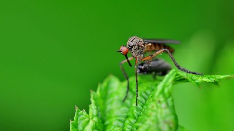 Enjoy the great outdoors, mozzie bite free 