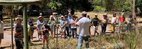 Another busy year for our Environmental Volunteers