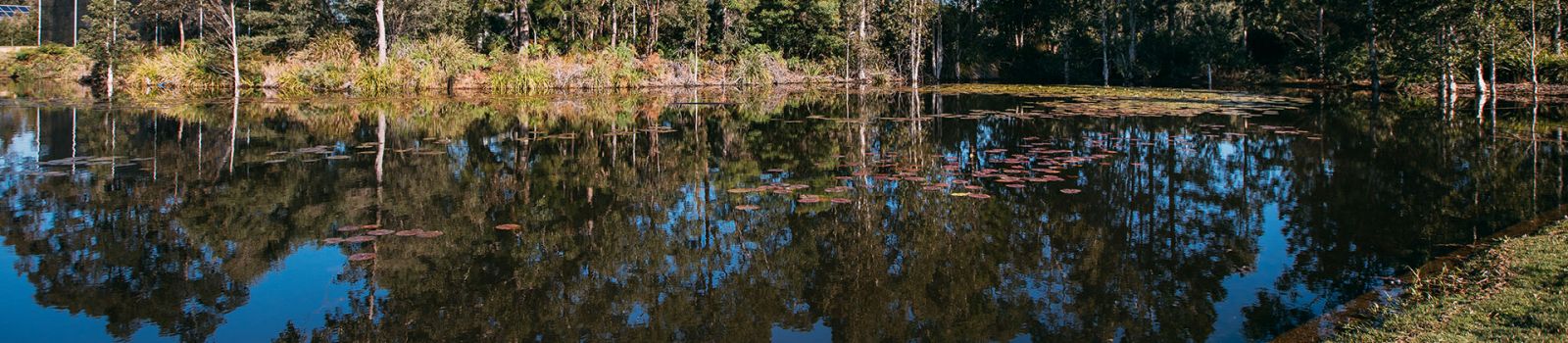 Images of houses surrounded by water banner image