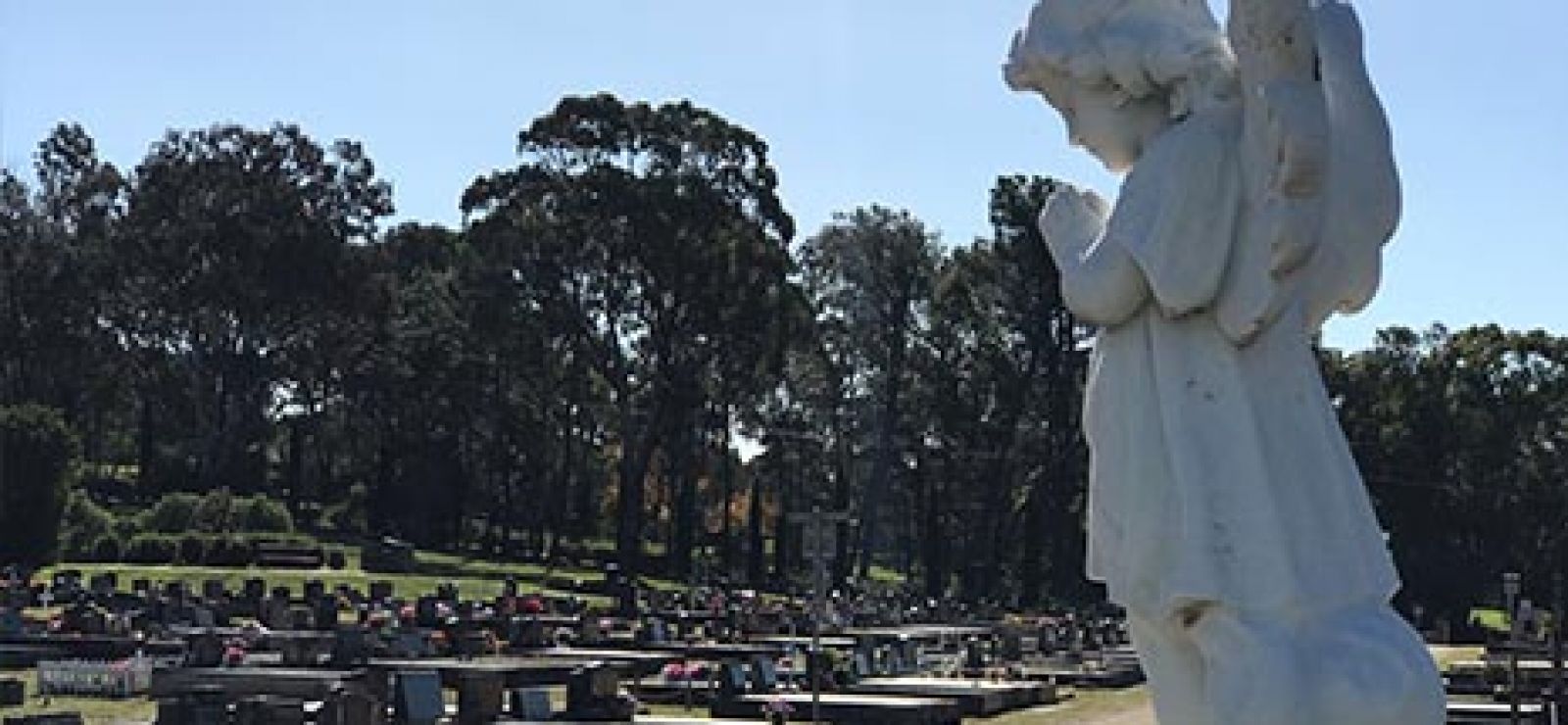 Raymond Terrace Cemetery banner image