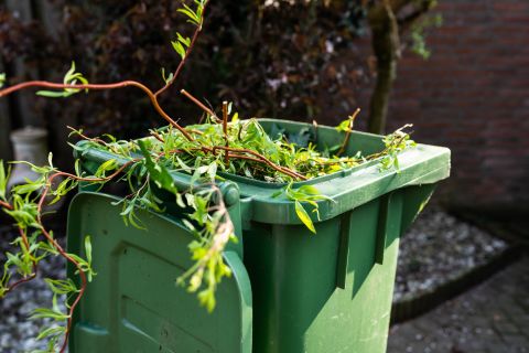 Port Stephens Council one step closer to delivering green bin collection service