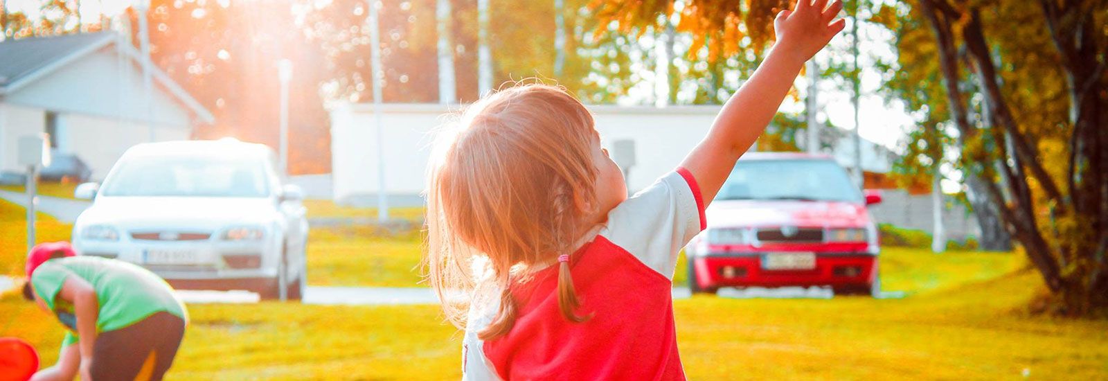 child reaching for tree with cars on a road banner image