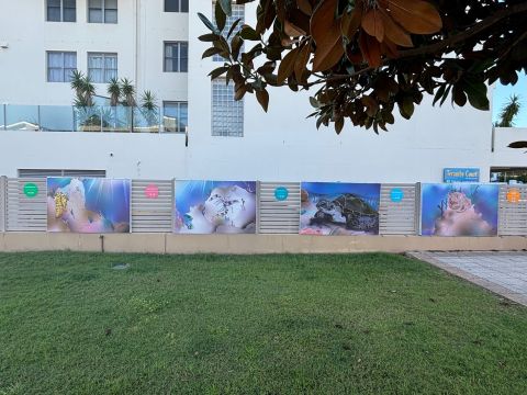 Yacaaba art walk
