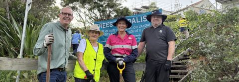 Branching out to regenerate vandalised Bridle Path trees