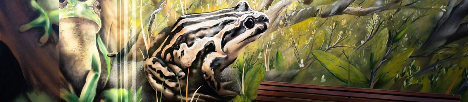 Image of frog painting created by local Port Stephens artist banner image