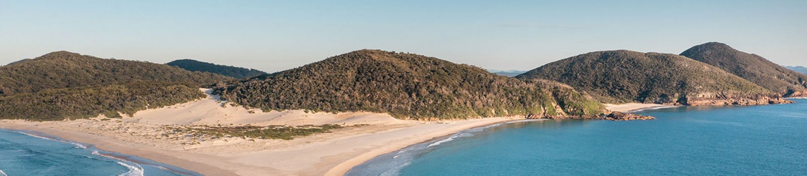 Image overlooking beaches and the natural flora of Port Stephens  banner image