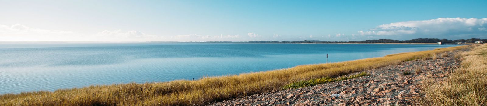 Photograph of Grahamstown Dam foreshore  banner image